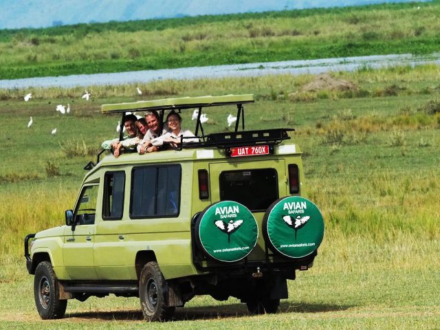 Avain Safaris