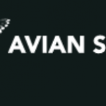 Avian Safaris